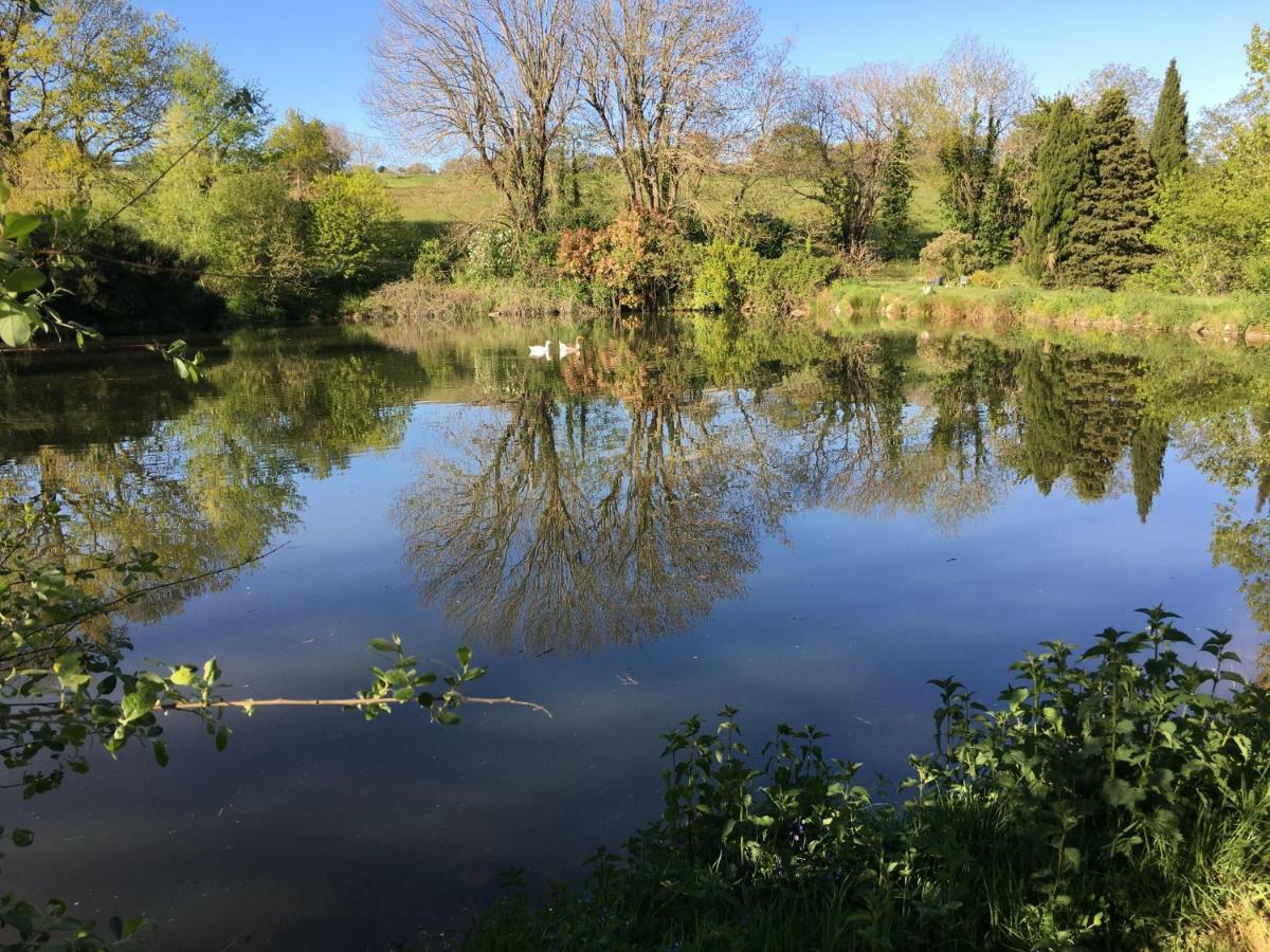 Pensjonat L'Enquenouille Basse Verdun-en-Lauragais Zewnętrze zdjęcie