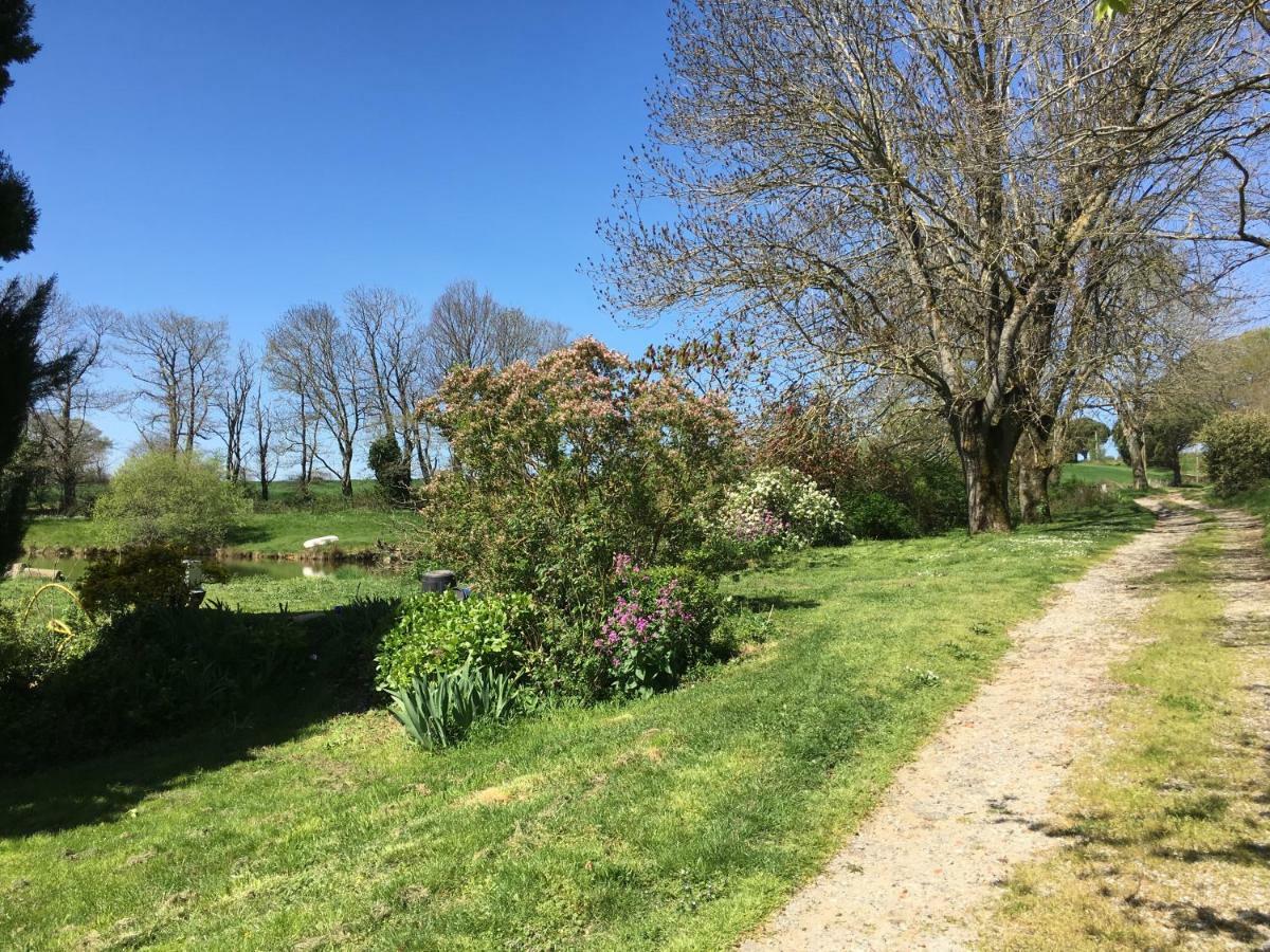 Pensjonat L'Enquenouille Basse Verdun-en-Lauragais Zewnętrze zdjęcie