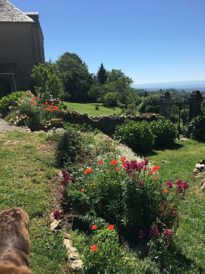 Pensjonat L'Enquenouille Basse Verdun-en-Lauragais Zewnętrze zdjęcie