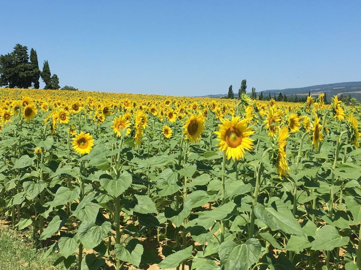 Pensjonat L'Enquenouille Basse Verdun-en-Lauragais Zewnętrze zdjęcie
